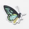 Cognitive Surplus Papilio Butterfly Magnet* Magnets | Entomology