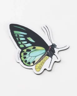 Cognitive Surplus Papilio Butterfly Magnet* Magnets | Entomology