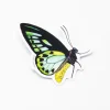 Cognitive Surplus Papilio Butterfly Sticker* Stickers | Entomology