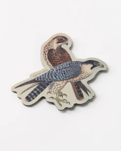 Cognitive Surplus Peregrine Falcon Magnet* Magnets | Ornithology