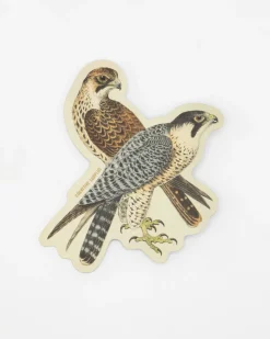 Cognitive Surplus Peregrine Falcon Sticker* Stickers | Ornithology