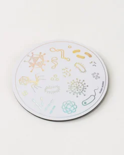 Cognitive Surplus Petri Dish Magnet* Magnets | Microbiology