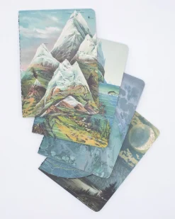 Cognitive Surplus Planet Earth Field Notebooks Set of 4 | Geologist* The Research | Geology + Earth Science