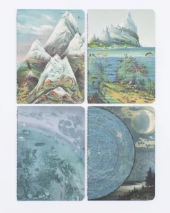 Cognitive Surplus Planet Earth Field Notebooks Set of 4 | Geologist* The Research | Geology + Earth Science