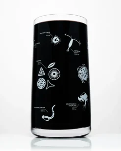 Cognitive Surplus Plankton Drinking Glass - Marine Biology | * Drinking Glasses | Marine Biology