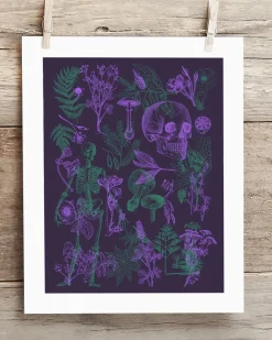 Cognitive Surplus Poisonous Plants Pl 2 Scientific Illustration Museum Print* Wall Art | Botany
