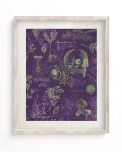 Cognitive Surplus Poisonous Plants Scientific Illustration Museum Print* Wall Art | Botany