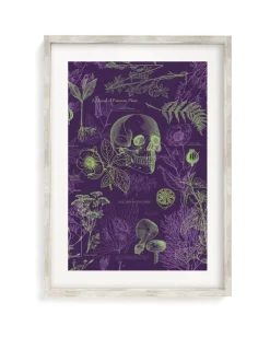 Cognitive Surplus Poisonous Plants Scientific Illustration Museum Print* Wall Art | Botany