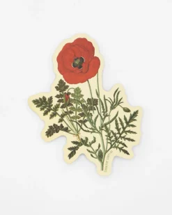 Cognitive Surplus Poppy Flower Sticker* Stickers | Botany