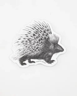 Cognitive Surplus Porcupine Sticker* Stickers | Biology