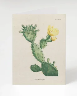 Cognitive Surplus Prickly Pear Cactus Card - Science Stationery | * Greeting Cards | Botany