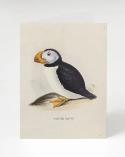 Cognitive Surplus Puffin Greeting Card - Bird Card | * Greeting Cards | Ornithology