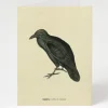 Cognitive Surplus Raven Bird Card - Science Stationery | * Greeting Cards | Ornithology