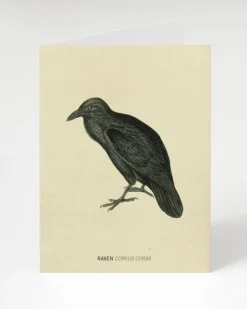 Cognitive Surplus Raven Bird Card - Science Stationery | * Greeting Cards | Ornithology