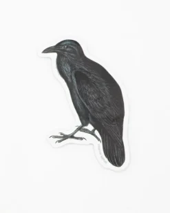 Cognitive Surplus Raven Sticker* Stickers | Ornithology