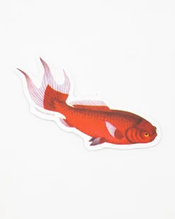 Cognitive Surplus Red Fish Sticker* Stickers | Marine Biology