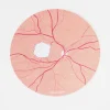 Cognitive Surplus Retina Photo Sticker* Stickers | Medicine
