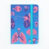Cognitive Surplus Retro Anatomy Observation Softcover* The Observation | Medicine