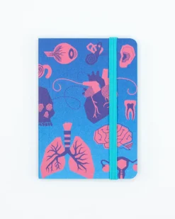 Cognitive Surplus Retro Anatomy Observation Softcover* The Observation | Medicine