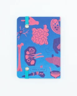 Cognitive Surplus Retro Anatomy Observation Softcover* The Observation | Medicine