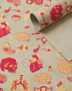 Cognitive Surplus Retro Anatomy Wrapping Paper* Wrapping Paper | Medicine