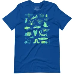 Cognitive Surplus Retro Insects Graphic Tee* Unisex Graphic Tees | Entomology