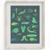 Cognitive Surplus Retro Insects Museum Print* Wall Art | Entomology