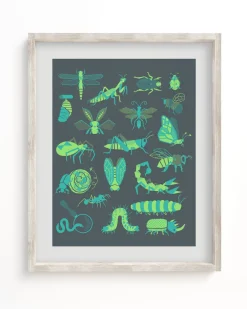 Cognitive Surplus Retro Insects Museum Print* Wall Art | Entomology
