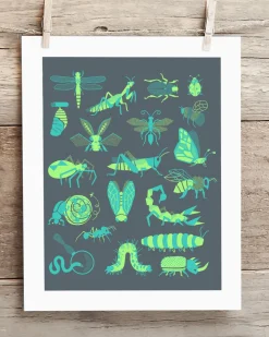Cognitive Surplus Retro Insects Museum Print* Wall Art | Entomology