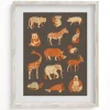 Cognitive Surplus Retro Mammals Museum Print* Wall Art | Veterinary Science