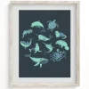 Cognitive Surplus Retro Marine Life Museum Print* Wall Art | Marine Biology
