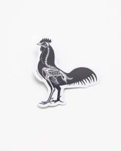 Cognitive Surplus Rooster X-Ray Sticker* Stickers | Veterinary Science