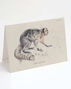 Cognitive Surplus Saki Monkey Greeting Card - Biology Stationery | * Greeting Cards | Biology