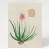 Cognitive Surplus Science Sympathy Card - Sorry You Got Burned | * Greeting Cards