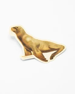 Cognitive Surplus Sea Lion Sticker* Stickers | Marine Biology