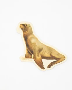 Cognitive Surplus Sea Lion Sticker* Stickers | Marine Biology