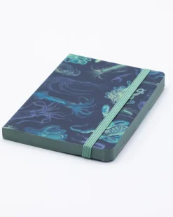 Cognitive Surplus Sea Monsters: Octopus & Squid Observation Softcover* The Observation | Marine Biology
