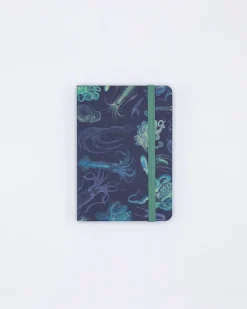 Cognitive Surplus Sea Monsters: Octopus & Squid Observation Softcover* The Observation | Marine Biology