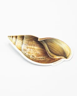 Cognitive Surplus Sea Shell Sticker* Stickers | Marine Biology