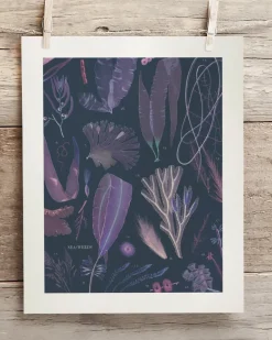 Cognitive Surplus Seaweed Scientific Illustration Museum Print* Wall Art | Marine Biology