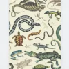 Cognitive Surplus Serpents: Reptiles & Amphibians Softcover Notebook - Dot Grid* The Experiment | Biology