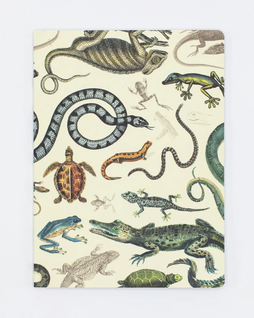 Cognitive Surplus Serpents: Reptiles & Amphibians Softcover Notebook - Dot Grid* The Experiment | Biology