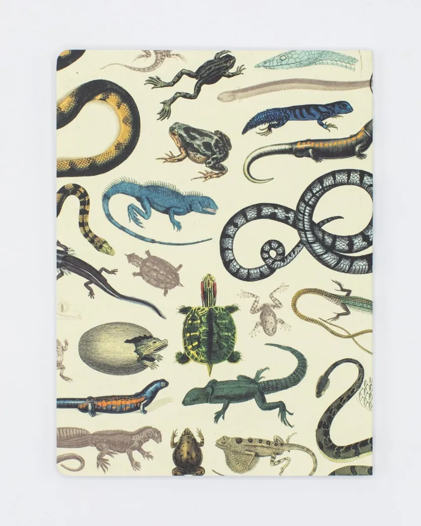 Cognitive Surplus Serpents: Reptiles & Amphibians Softcover Notebook - Dot Grid* The Experiment | Biology