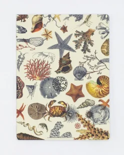 Cognitive Surplus Shallow Seas Plate 2 Softcover Notebook - Lined* The Experiment | Marine Biology