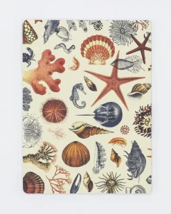 Cognitive Surplus Shallow Seas Plate 2 Softcover Notebook - Lined* The Experiment | Marine Biology