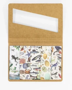 Cognitive Surplus Shoreline Page Flags* Page Flags | Marine Biology