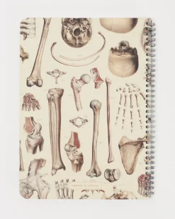 Cognitive Surplus Skeleton Anatomy Spiral Notebook | * The Helix | Medicine