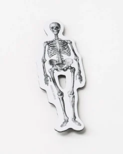 Cognitive Surplus Skeleton Magnet* Magnets | Medicine