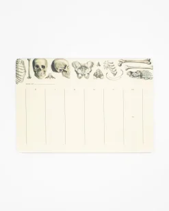 Cognitive Surplus Skeleton Notepads - Vintage Medicine Pad | * Notepads | Medicine