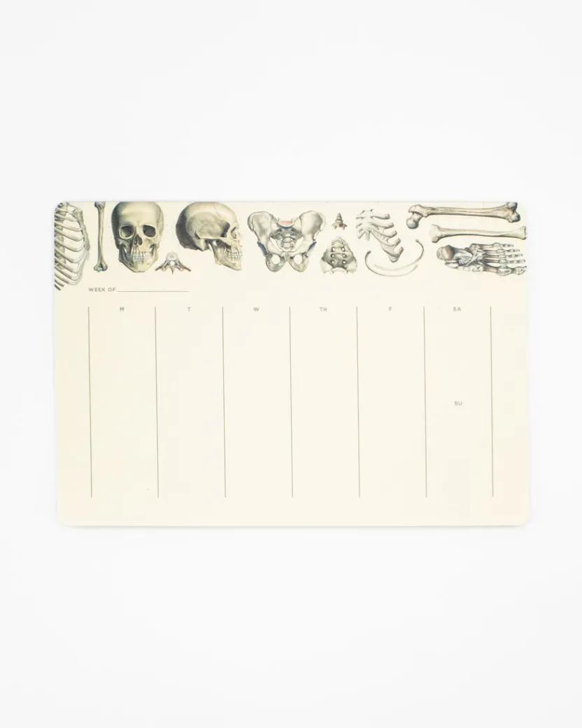Cognitive Surplus Skeleton Notepads - Vintage Medicine Pad | * Notepads | Medicine